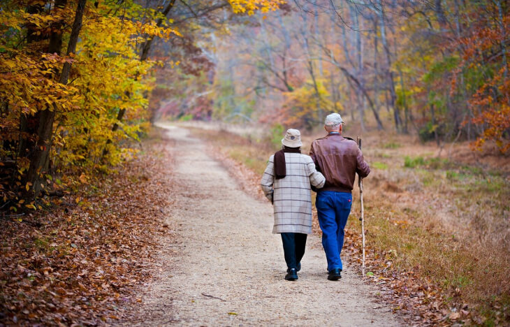 Schválený sprievodca